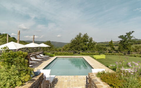 Villa Pianvecchio: Pflanze, Schwimmbad, Garten, Verbundwerkstoff, Strauch, Resort, Landscaping, Garten, Fliese