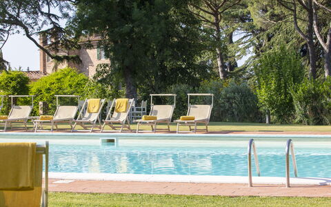 Villa Asciolo: Schwimmbad, Gartenmöbel, Sonnenliege, Resort, Verbundwerkstoff, Schatten, Rechteck, Läge, Freizeitzentrum
