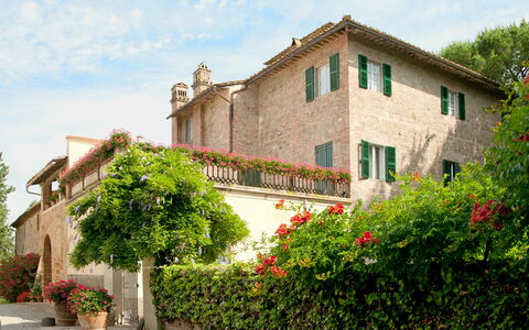 Villa Asciolo: Pflanze, Strauch, Eigentum, Haus, Gebäude, Grundeigentum, Blumentopf, Wohngebiet, Garten