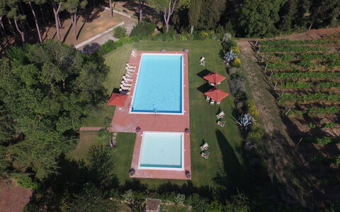 Villa Asciolo: Schwimmbad, Garten, Verbundwerkstoff, Schatten, Rasen, Garten, Plantage, Hinterhof, Landscaping