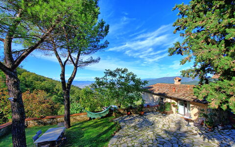 Villa Ancora: Ast, Baum, Natürliche Landschaft, Haus, Gehölz, Ländliches Gebiet, Dach, Kofferraum, Hütte, Dorf