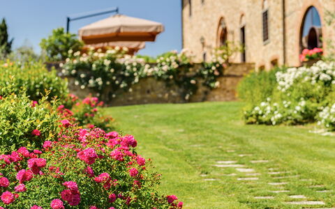 Villa Sole Del Chianti: Blume, Pflanze, Gebäude, Natur, Botanik, Blütenblatt, Fenster, Himmel, Baum, Gras
