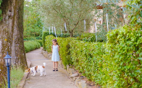 Borgo San Vincenti: Grün, Blatt, Strauch, Frühling, Garten, Freizeit, Erholung, Urlaub, Sonnenlicht