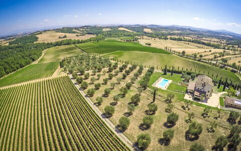 Villa Le Buche: Himmel, Pflanze, Natürliche Landschaft, Baum, Grundstueck, Landwirtschaft, Gras, Einfach, Wiese, Urban Design