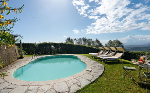Villa Elisa: Schwimmbad, Gartenmöbel, Resort, Eco Hotel, Rasen, Landscaping, Schatten, Garten, Hinterhof, Villa