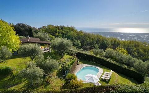 Villa Elisa: Natürliche Landschaft, Landschaft, Schwimmbad, Garten, Estate, Landscaping, Eco Hotel, Plantage, Villa, Bauernhaus