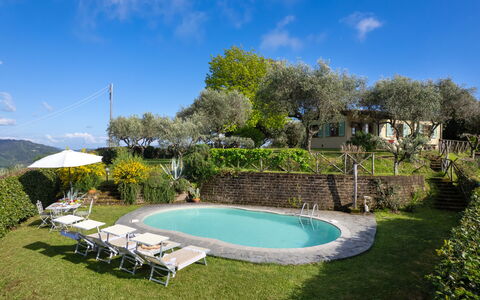Villa Elisa: Schwimmbad, Gartenmöbel, Resort, Estate, Garten, Hazienda, Eco Hotel, Hütte, Hinterhof, Garten