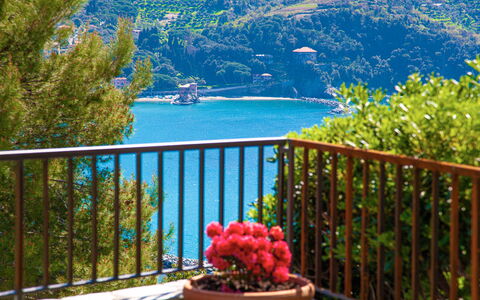 Marlà - Levanto: Wasser, Pflanze, Eigentum, Blume, Zaun, Gebäude, Azurblau, Baum, Haus, Himmel