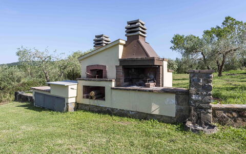 Casina Dell'acquaborra: Garten, Hinterhof, Rasen, Landscaping, Estate, Garten, Bauernhaus, Outdoor Struktur, Steinofen