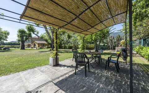 Villa Chio: Pflanze, Eigentum, Tabelle, Schatten, Baum, Gartenmöbel, Gras, Öffentlicher Raum, Stuhl, Tisch Im Freien