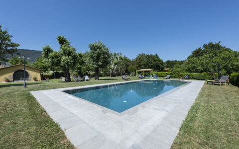 Villa Chio: Wasser, Himmel, Schwimmbad, Pflanze, Baum, Schatten, Gewässer, Rechteck, Gebäude, Wohngebiet