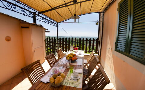 Alla Collina Del Sole: Gebäude, Tabelle, Eigentum, Pflanze, Möbel, Geschirr, Stuhl, Fenster, Holz, Zimmerpflanze