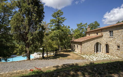 Villa Lucarella: Baum, Haus, Zuhause, Estate, Hütte, Bauernhaus, Ländliches Gebiet, Landscaping, Garten, Villa