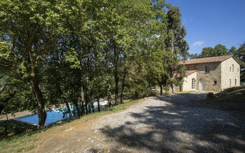 Villa Lucarella: Baum, Gras, Ast, Landschaft, Haus, Zuhause, Strauch, Ländliches Gebiet, Grundstueck