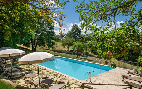 Villa Lucarella: Schwimmbad, Gartenmöbel, Resort, Freizeit, Garten, Schatten, Eco Hotel, Sonnenliege, Hinterhof, Estate
