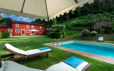 Villa Guamo: Pflanze, Wasser, Eigentum, Möbel, Gebäude, Grün, Natur, Schatten, Gartenmöbel, Schwimmbad