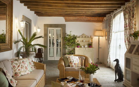 Chianti Fornace 1: Pflanze, Eigentum, Zimmerpflanze, Couch, Interior Design, Fussboden, Wohnzimmer, Grundeigentum, Holz, Schatten