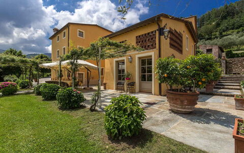 Villa Castellaccio: Pflanze, Himmel, Wolke, Eigentum, Gebäude, Fenster, Grundstueck, Haus, Vegetation, Baum