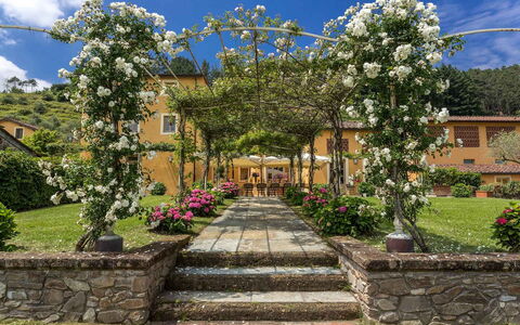 Villa Castellaccio: Blume, Pflanze, Himmel, Wolke, Gebäude, Botanik, Blütenblatt, Vegetation, Baum, Landschaft