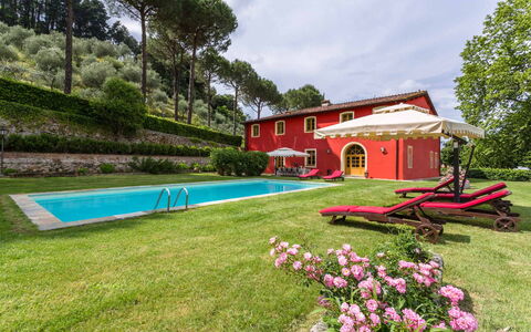 Villa Guasperini: Pflanze, Himmel, Blume, Wolke, Baum, Gebäude, Grundstueck, Gras, Natürliche Landschaft, Landschaft
