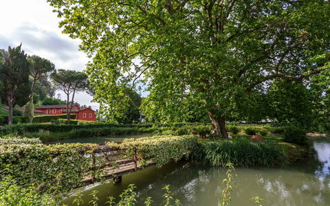 Villa Guasperini: Wasser, Pflanze, Grün, Natürliche Landschaft, Baum, Wolke, Wasserlauf, Gewässer, See, Bank
