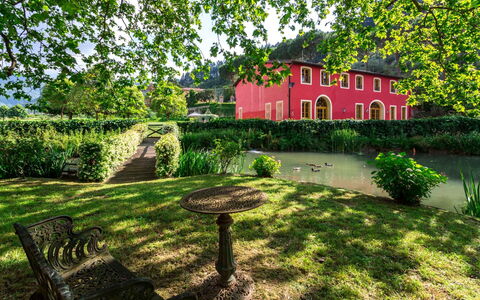 Villa Guasperini: Pflanze, Gebäude, Fenster, Natur, Blatt, Baum, Natürliche Landschaft, Vegetation, Haus, Grundstueck