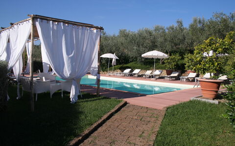 Il Fienile Holiday Home: Pflanze, Himmel, Wasser, Regenschirm, Schatten, Schwimmbad, Gartenmöbel, Blumentopf, Gras