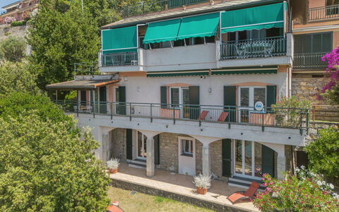 Lambrusca: Pflanze, Gebäude, Fenster, Urban Design, Nachbarschaft, Baum, Wohngebiet, Haus, Fassade, Grundeigentum