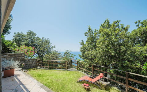 Lambrusca: Himmel, Pflanze, Eigentum, Schatten, Baum, Grundstueck, Gartenmöbel, Gebäude, Freizeit, Gras