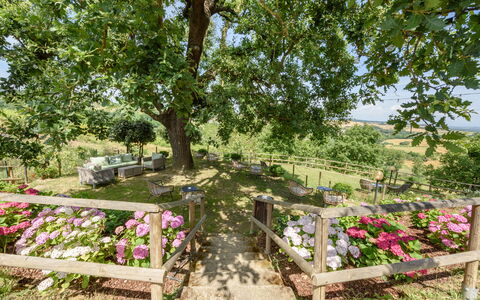 Villa Varna: Blume, Pflanze, Pflanzengemeinschaft, Baum, Blütenblatt, Natürliche Landschaft, Blumentopf, Gras, Ground, Strauch