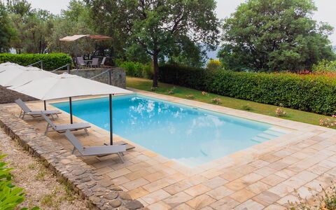 Villa Sant'anna: Wasser, Pflanze, Eigentum, Schwimmbad, Schatten, Rechteck, Baum, Himmel, Gras, Gartenmöbel