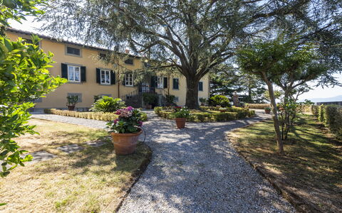 Villa San Gennaro: Pflanze, Gebäude, Fenster, Baum, Himmel, Strassenbelag, Grundstueck, Haus, Landschaft, Gras