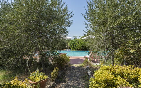 Villa Cevoli: Pflanze, Wasser, Pflanzengemeinschaft, Himmel, Natürliche Landschaft, Baum, Vegetation, Strauch, Gras, Schwimmbad