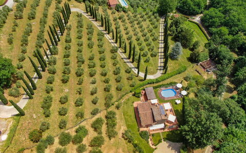 La Quiete: Pflanze, Eigentum, Natürliche Landschaft, Grundstueck, Baum, Urban Design, Gebäude, Gras, Ländliches Gebiet, Freizeit