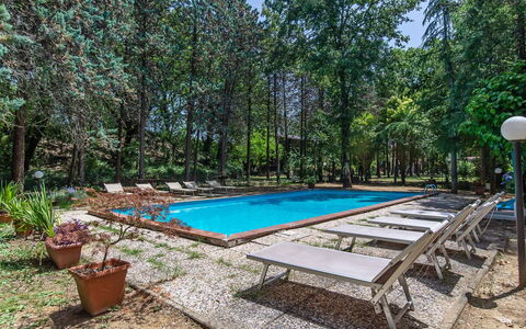 Villa Pania: Pflanze, Wasser, Azurblau, Schwimmbad, Blumentopf, Baum, Gartenmöbel, Schatten, Tabelle, Freizeit