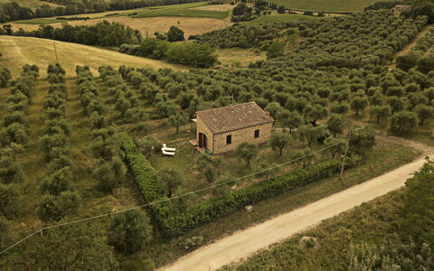 Montauto: Pflanze, Gebäude, Natürliche Landschaft, Haus, Grundstueck, Hochland, Baum, Landwirtschaft, Wiese, Gras
