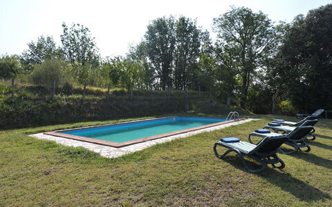 Villa Antelminelli: Pflanze, Himmel, Schwimmbad, Baum, Schatten, Gartenmöbel, Außenbank, Rechteck, Freizeit, Gras