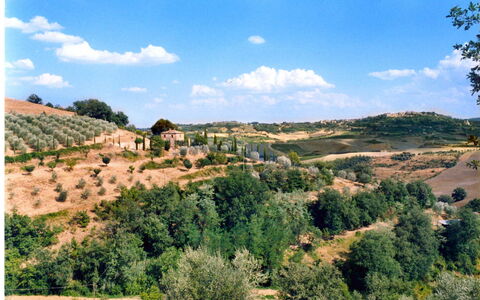 Casa Banditello: Himmel, Wolke, Pflanze, Eigentum, Pflanzengemeinschaft, Ökoregion, Natürliche Landschaft, Natürlichen Umgebung, Baum, Grundstueck