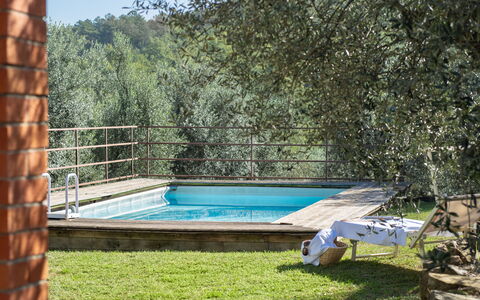 Residenza la Casuccia: Wasser, Pflanze, Schwimmbad, Schatten, Freizeit, Gras, Verbundwerkstoff, Landschaft, Holz, Rechteck