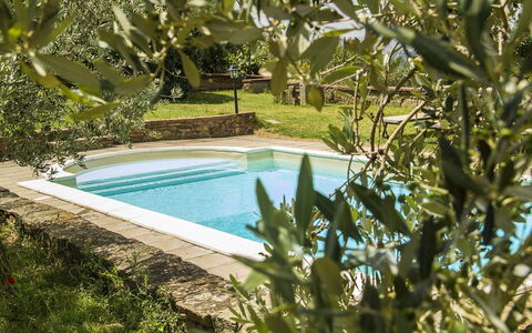 Orangerie Degli Ulivi: Wasser, Wasservorräte, Pflanze, Natur, Azurblau, Schwimmbad, Botanik, Natürliche Landschaft, Vegetation, Gras