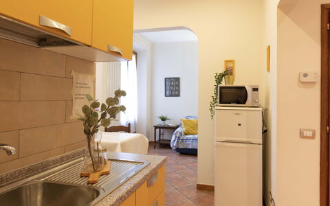 Vintage Apartment in Florence: Eigentum, Cabinetry, Gebäude, Pflanze, Zimmerpflanze, Blumentopf, Interior Design, Fussboden, Flooring, Holz