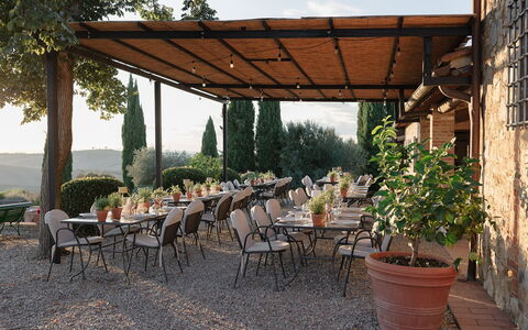 Villa Sulle Crete: Pflanze, Tabelle, Möbel, Eigentum, Blumentopf, Schatten, Stuhl, Tisch Im Freien, Baum, Gartenmöbel