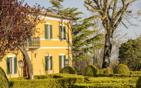 Villa Pianoia: Pflanze, Himmel, Eigentum, Gebäude, Fenster, Baum, Ast, Vegetation, Sonnenlicht, Gelb