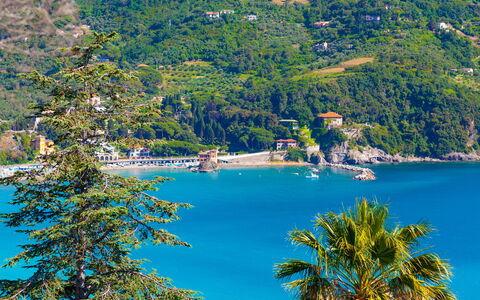 Casa Grande Mare - Levanto: Wasser, Pflanze, Natur, Azurblau, Baum, Natürliche Landschaft, See, Vegetation, Küsten Und Ozeanische Forms, Biome