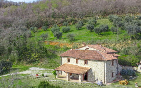 Guarda Valle: Pflanze, Pflanzengemeinschaft, Natürliche Landschaft, Botanik, Haus, Baum, Gebäude, Grundstueck, Vegetation, Biome