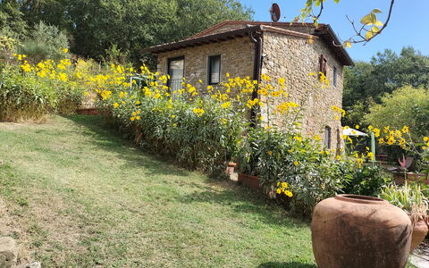 Casa Bosco D'arte Holiday Home , Greve In Chianti,: Blume, Pflanze, Gebäude, Pflanzengemeinschaft, Fenster, Himmel, Natürliche Landschaft, Baum, Haus, Grundstueck
