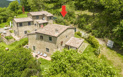 Casa Bosco D'arte Holiday Home , Greve In Chianti,