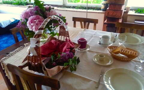 Villa Fulvia: Tabelle, Geschirr, Möbel, Dishware, Blume, Essen, Pflanze, Teller, Fenster, Tischdecke
