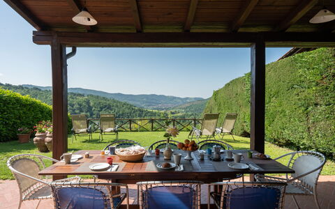 Villa Olivi Pool: Tabelle, Pflanze, Eigentum, Möbel, Stuhl, Himmel, Natur, Schatten, Veranda, Blumentopf