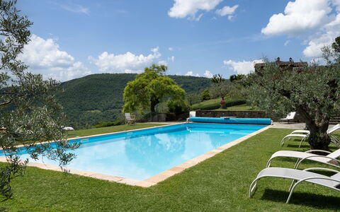 Villa Olivi Pool: Wasser, Wolke, Pflanze, Himmel, Eigentum, Schwimmbad, Baum, Natürliche Landschaft, Gewässer, Schatten